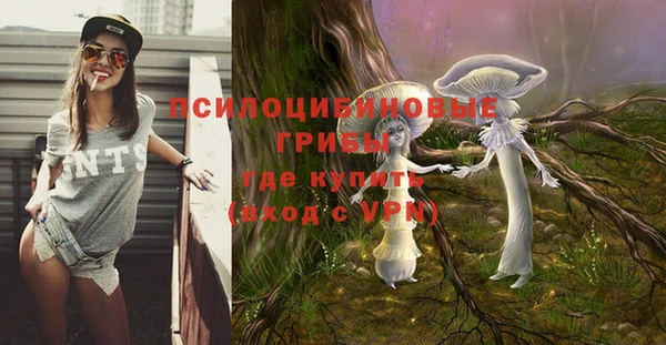 a pvp Алексин