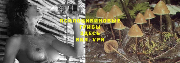 a pvp Алексин